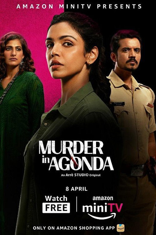 Murder in Agonda poster