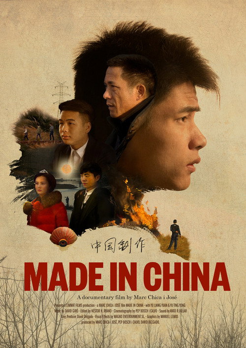 Made in China poster