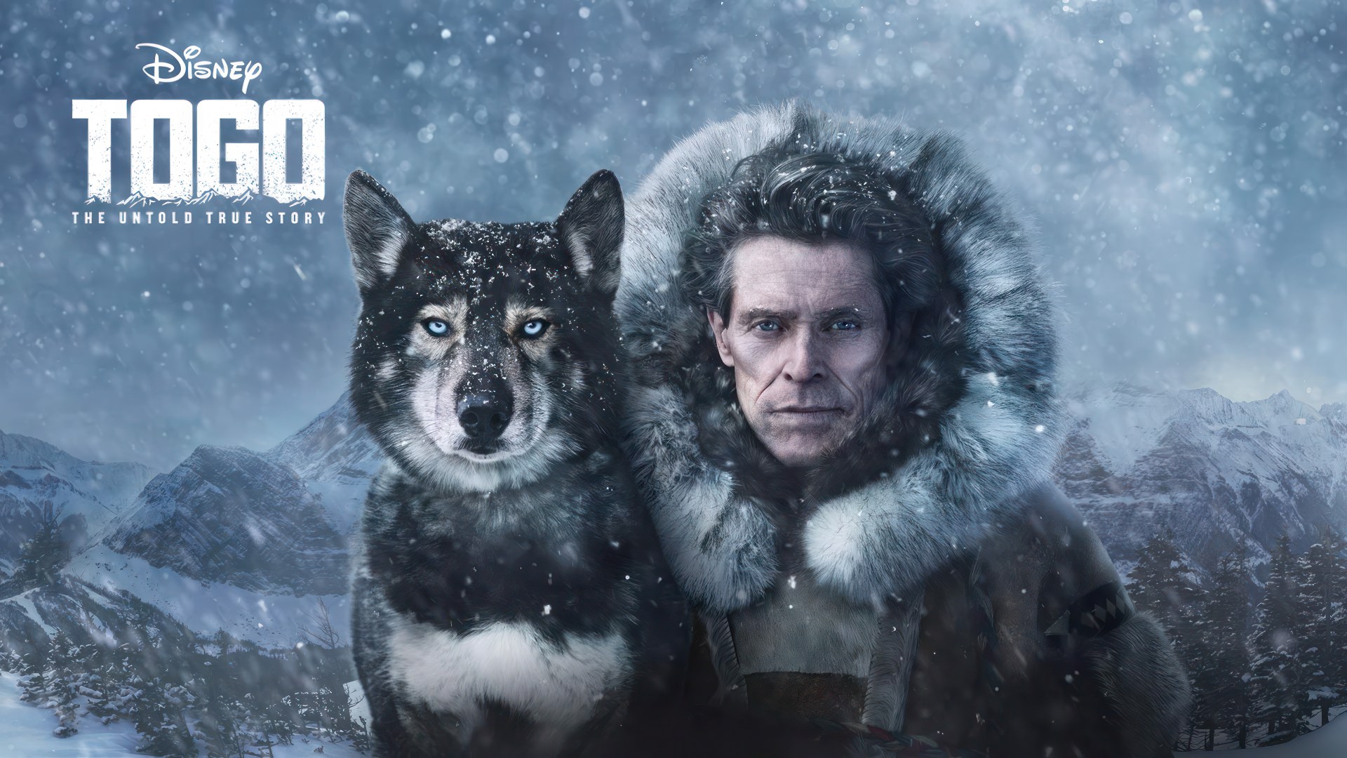 Togo (2019) Google Drive Download