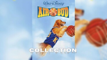 Air Bud Movie Series Collection Bluray Google Drive Download