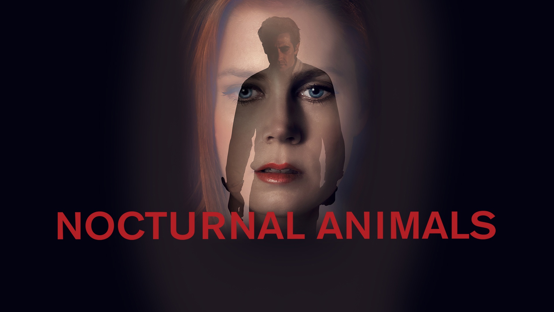 Nocturnal Animals (2016) Google Drive Download