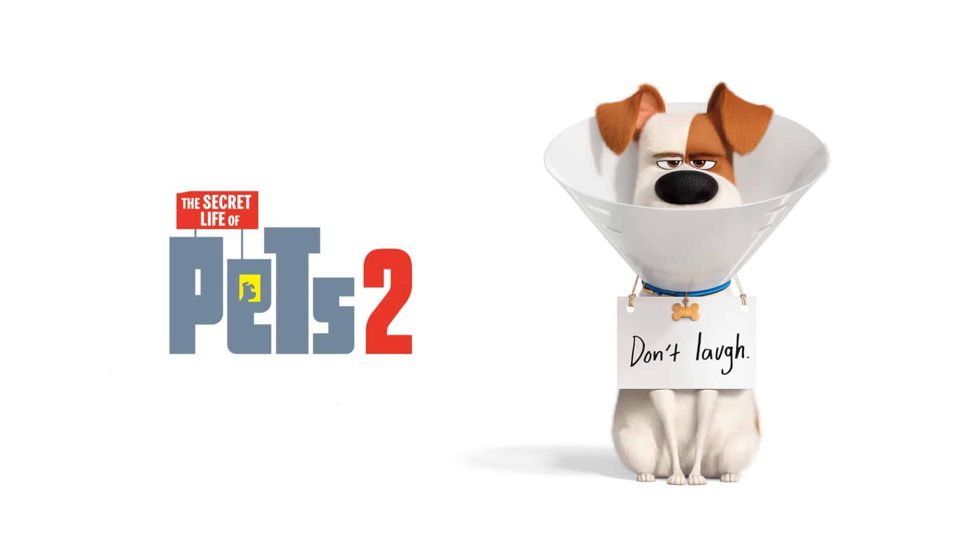The Secret Life of Pets 2 (2019) Bluray Google Drive Download