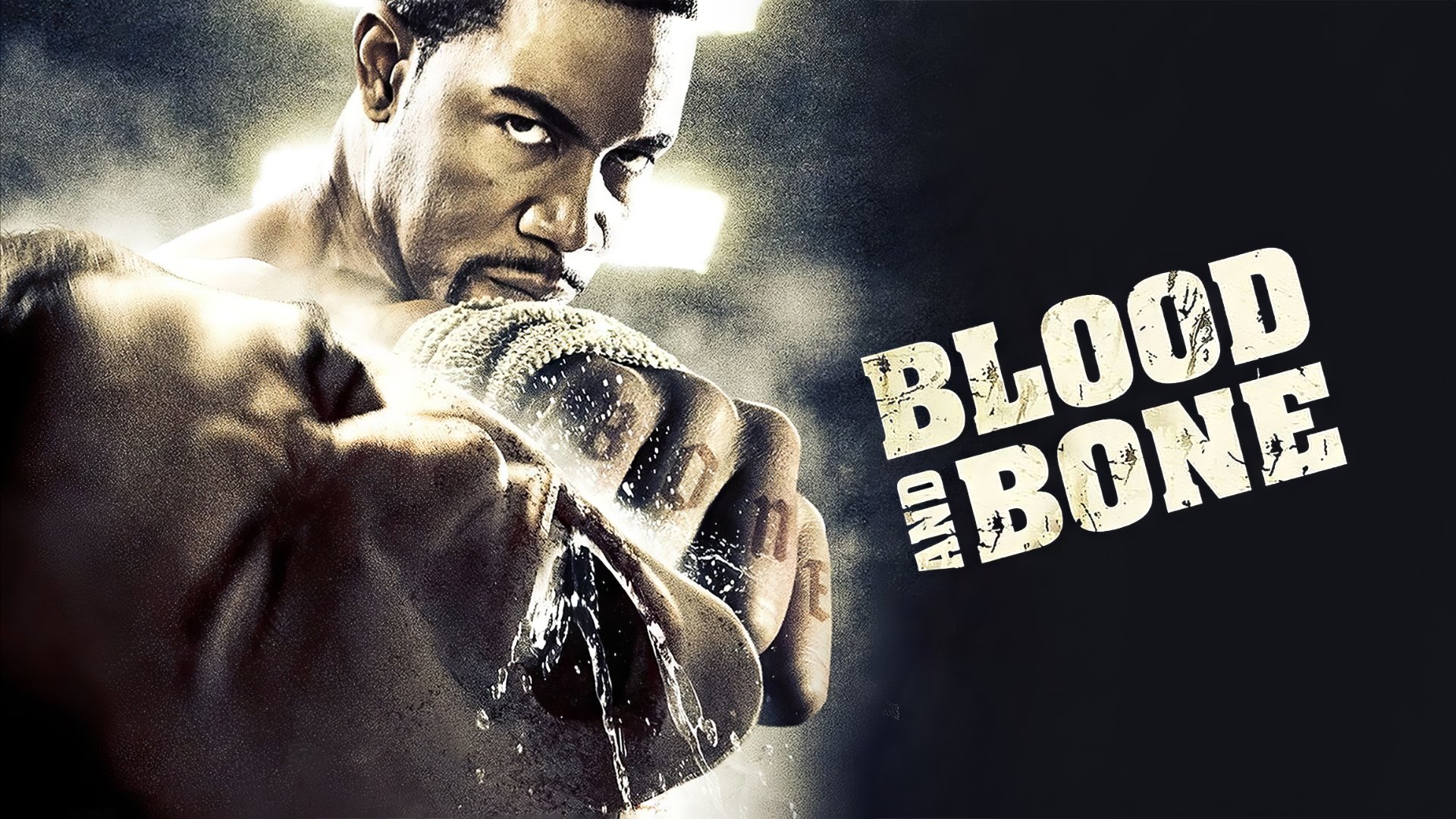 Blood and Bone (2009) Google Drive Download