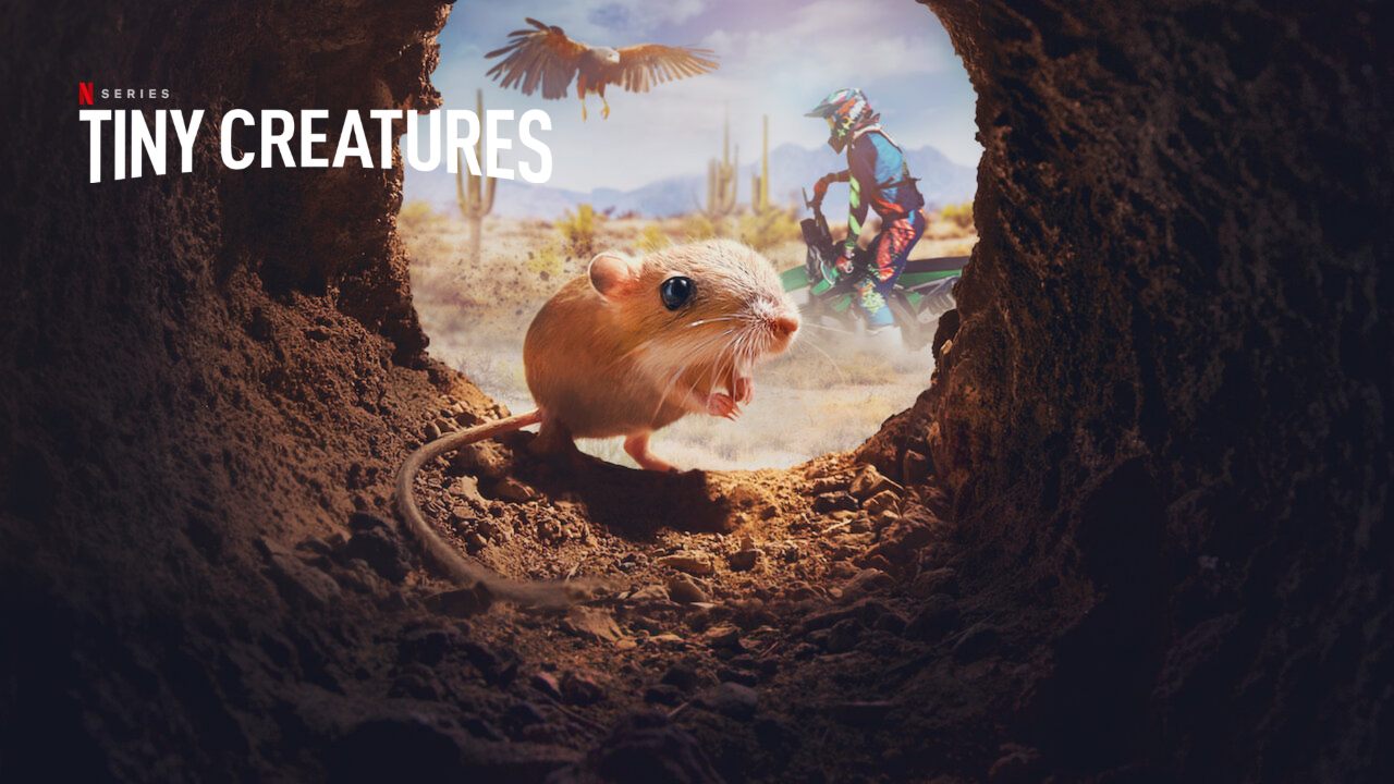 Tiny Creatures (2020) Season 01 S01 Documentary Google Drive Download