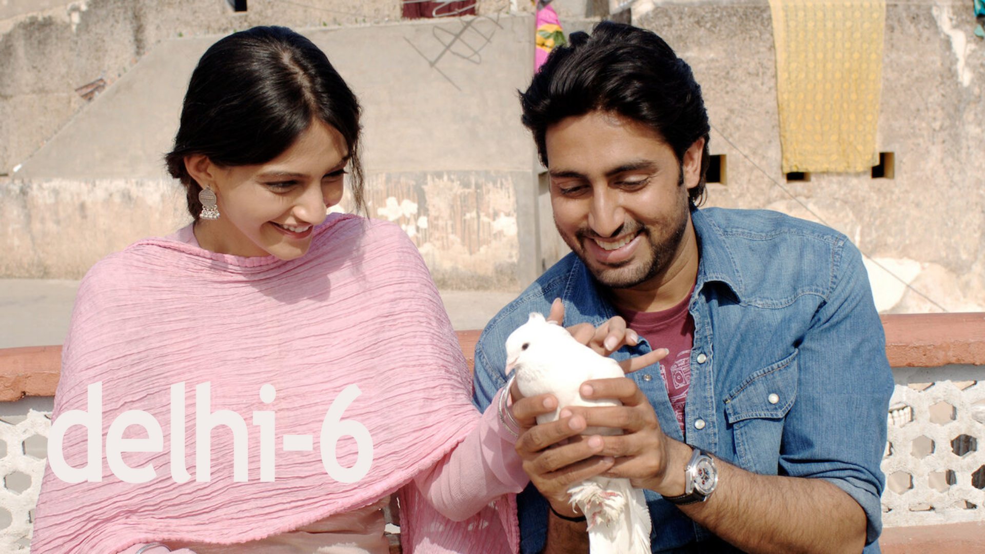 Delhi-6 (2009) Hindi Google Drive Download
