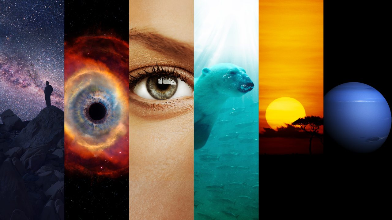Cosmos Documentary Google Drive Download