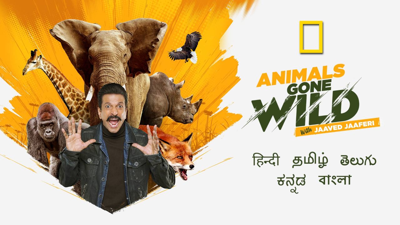 Animals Gone Wild With Jaaved Jaaferi Google Drive Download