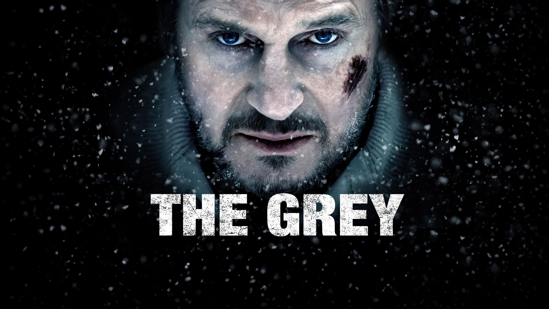 The Grey (2011) Google Drive Download