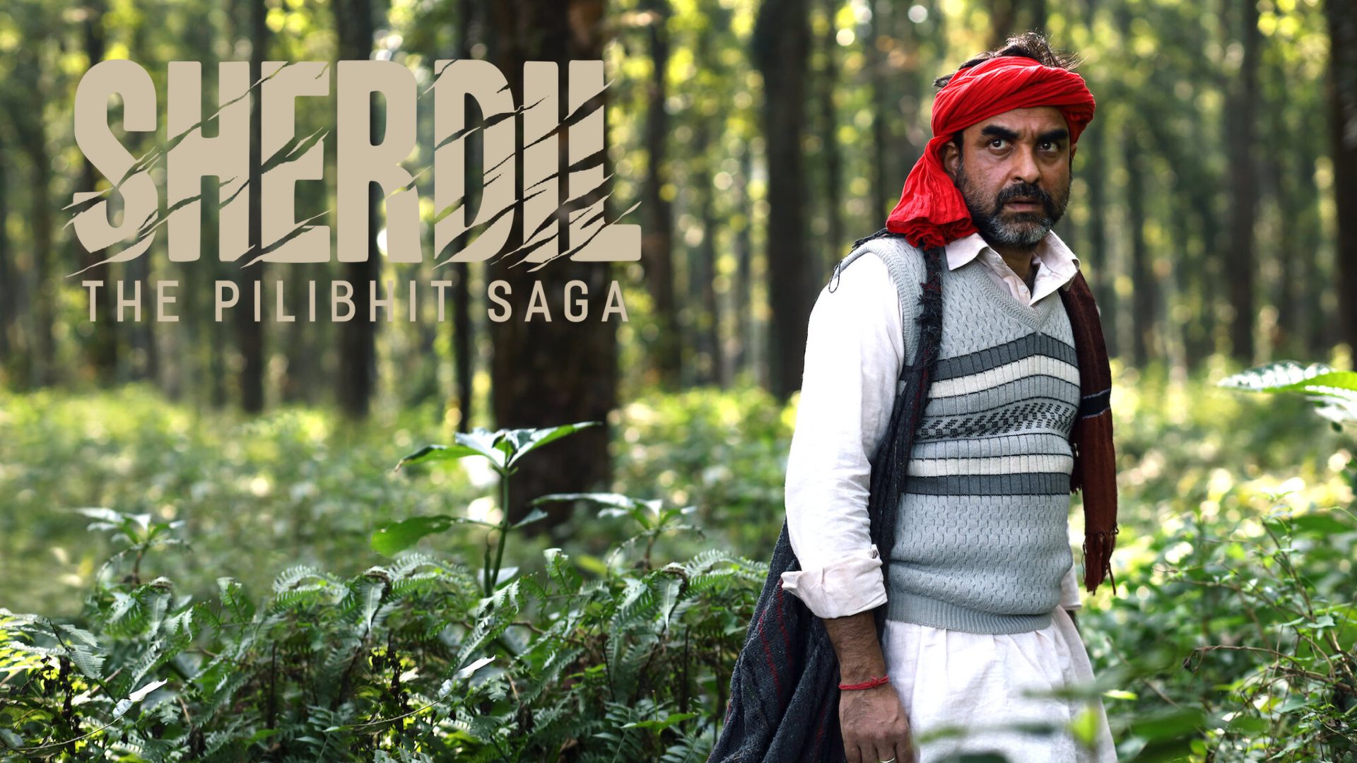 Sherdil (2022) Hindi Google Drive Download