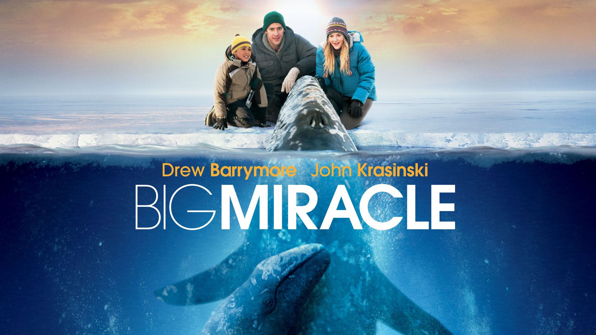 Big Miracle (2012) Google Drive Download