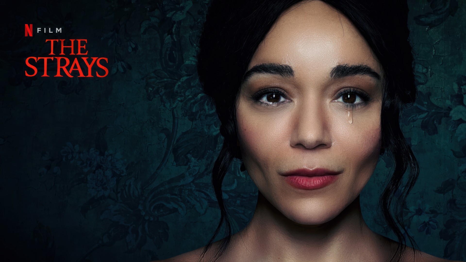 The Strays (2023) Google Drive Download