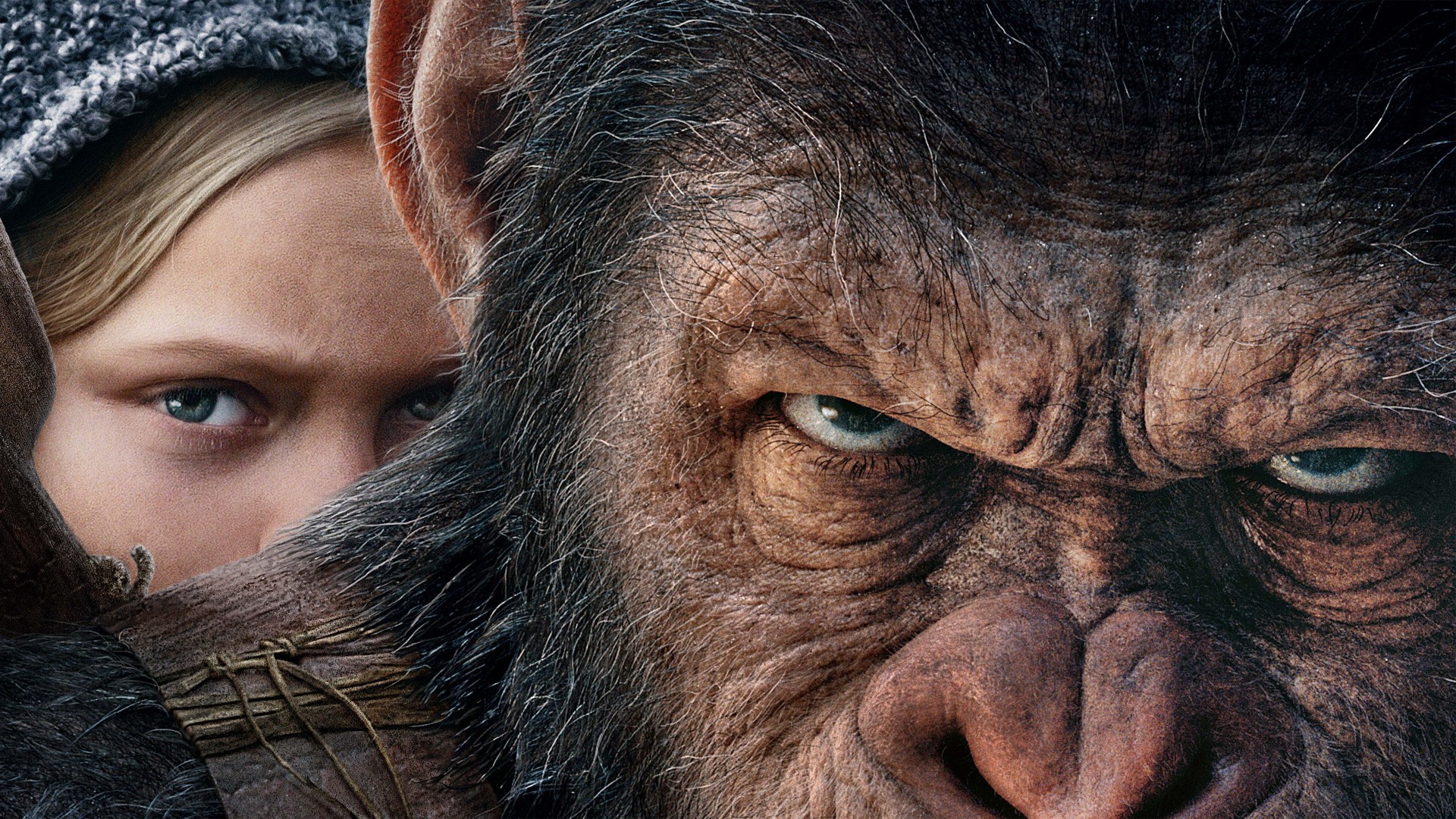 Planet of the Apes Collection Google Drive Download