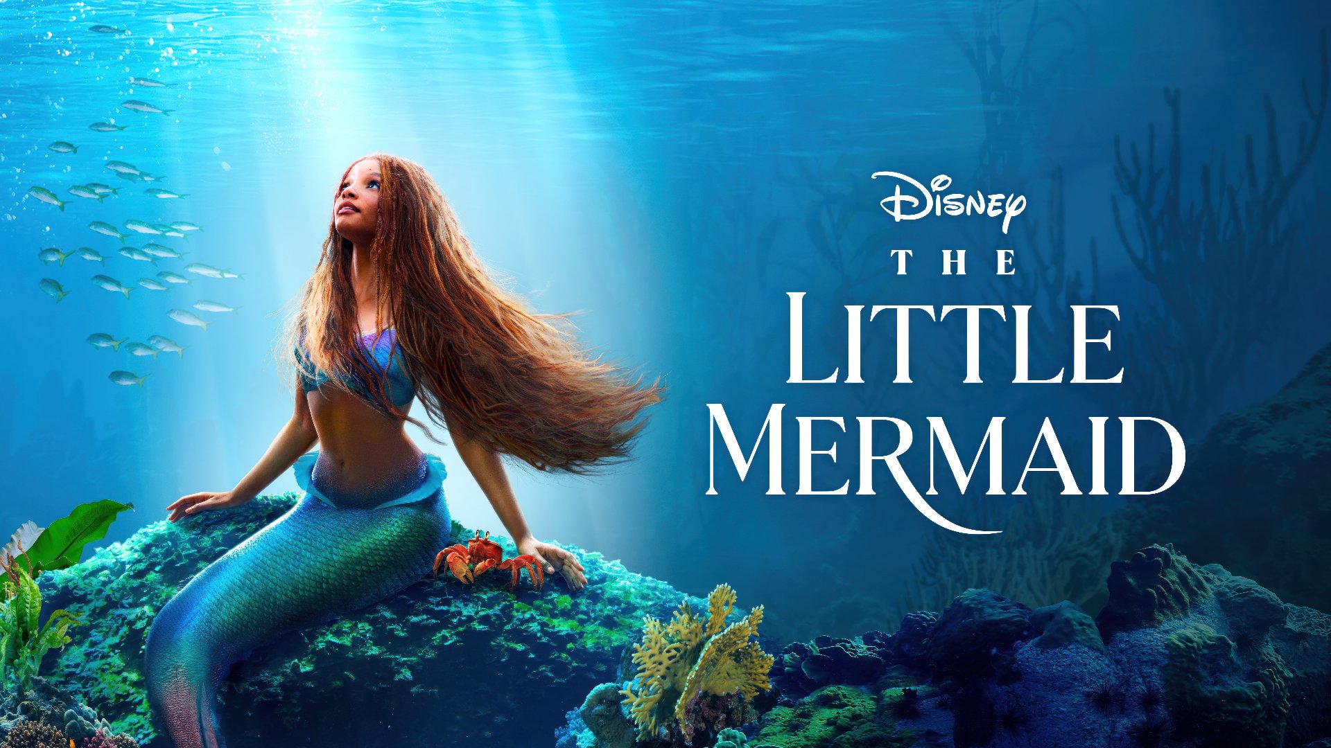 The Little Mermaid (2023) Google Drive Download