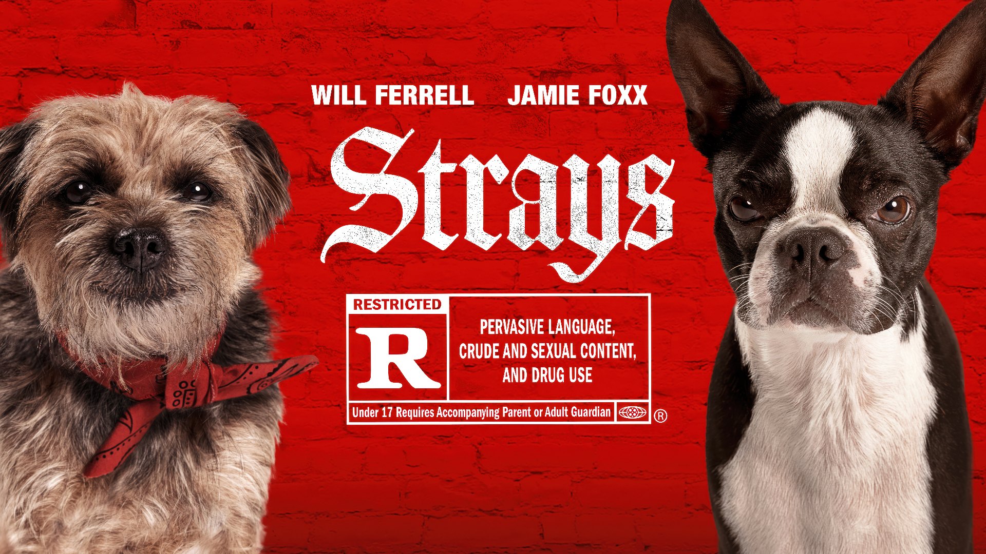 Strays (2023) Google Drive Download