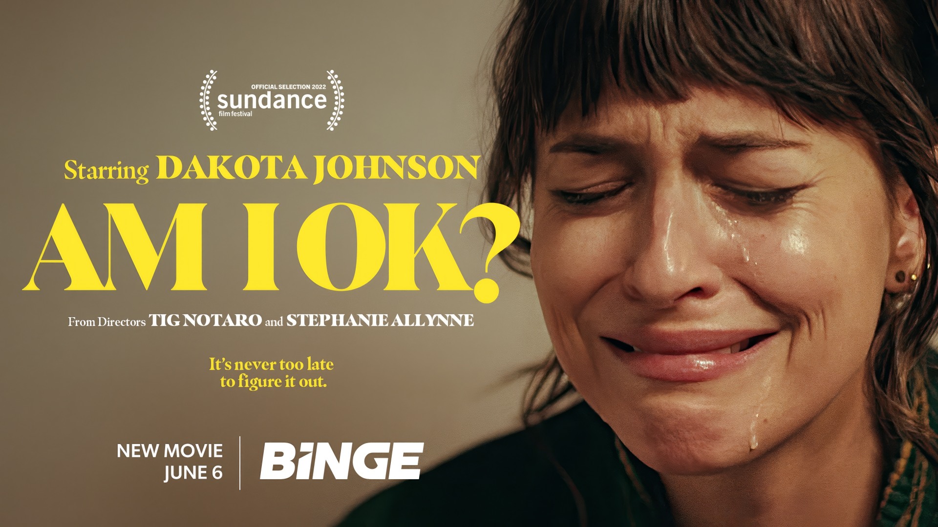 Am I OK 2022 Google Drive Download