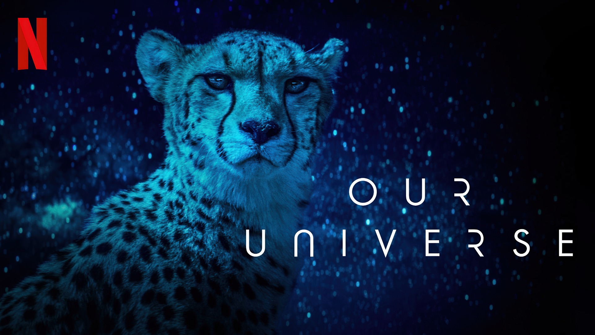 Our Universe (2022) Google Drive Download