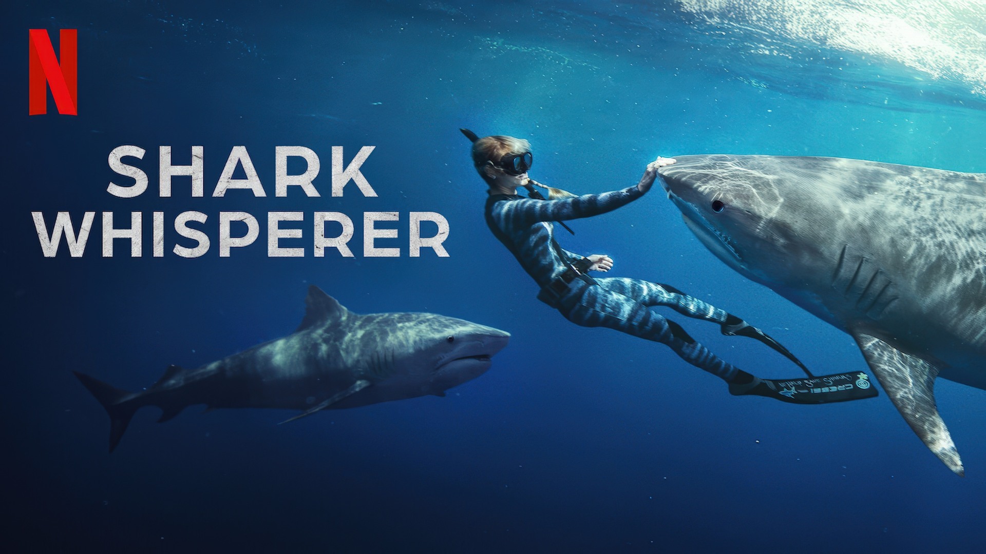 Shark Whisperer (2025) Google Drive Download