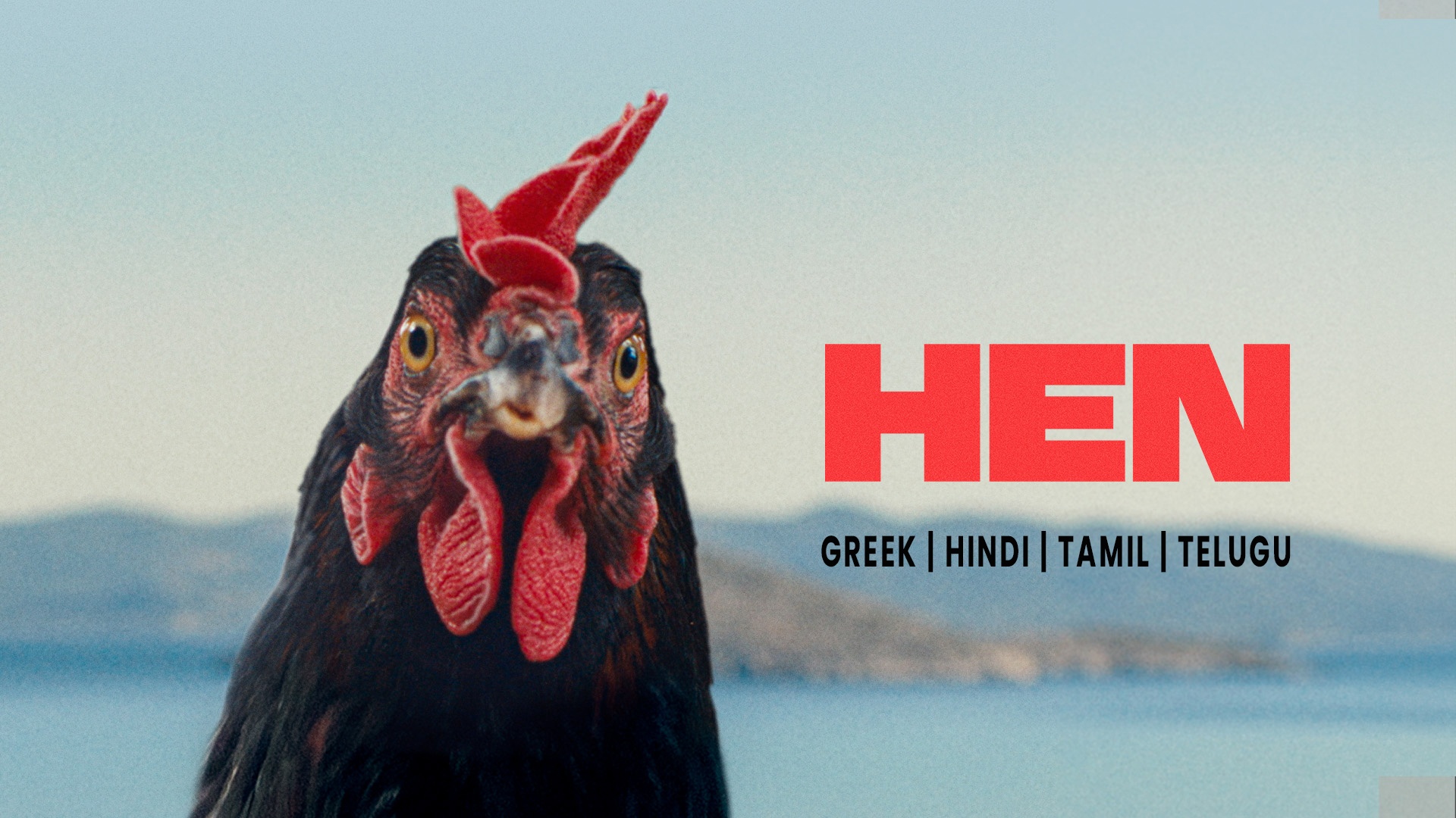 Hen (2026)